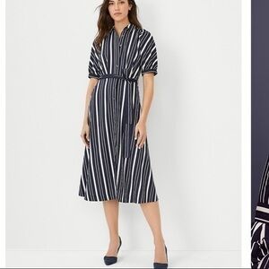 NWT Ann Taylor Stripe Collared Shirtdress